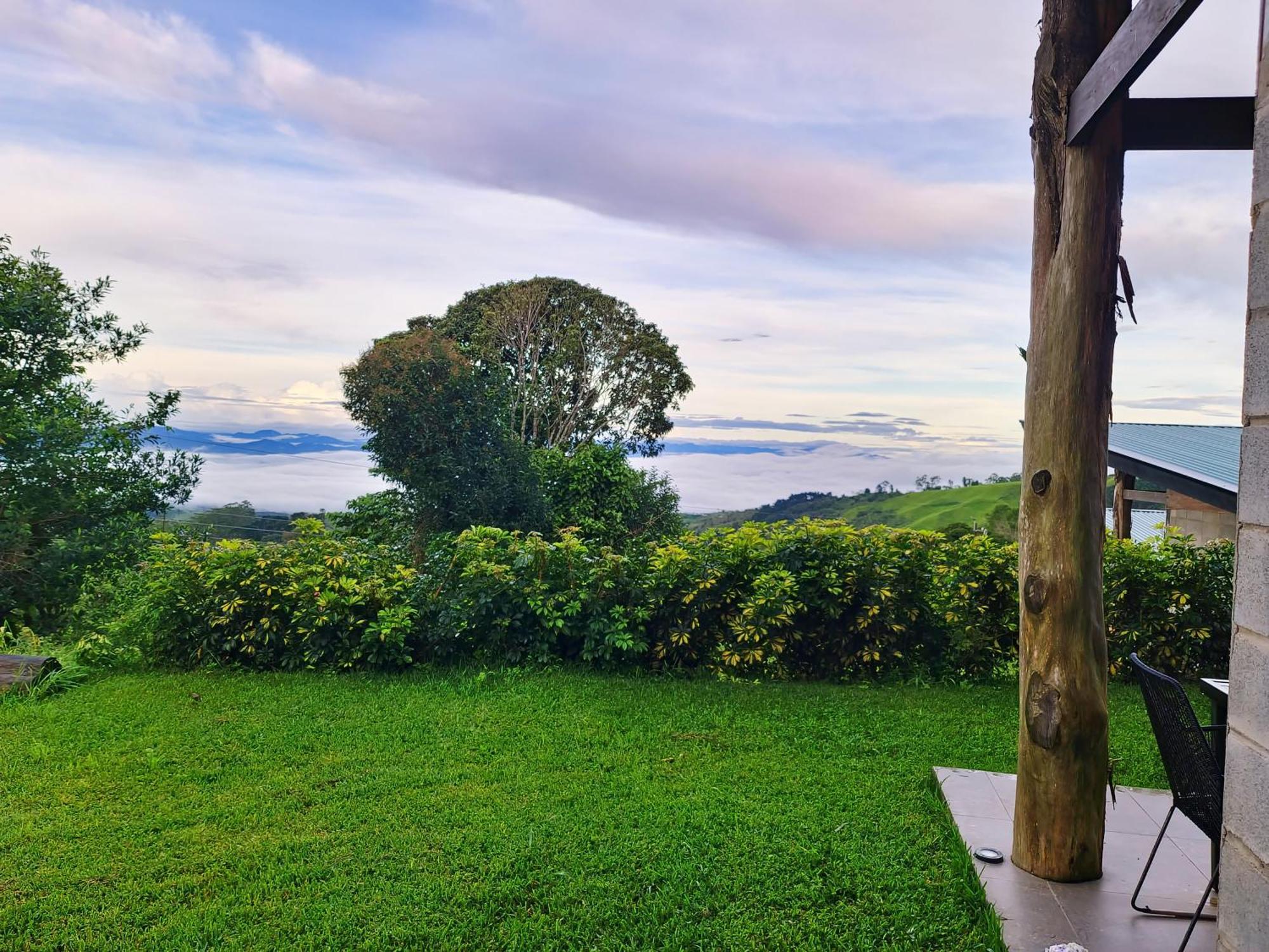 Espectacular Cabana Moderna De Montana + Bosque Nuboso +Wifi Zarcero Eksteriør bilde